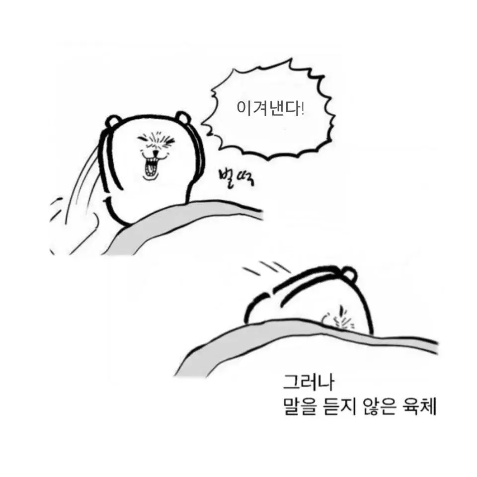 연뮤 증정 재관 폴라 양도